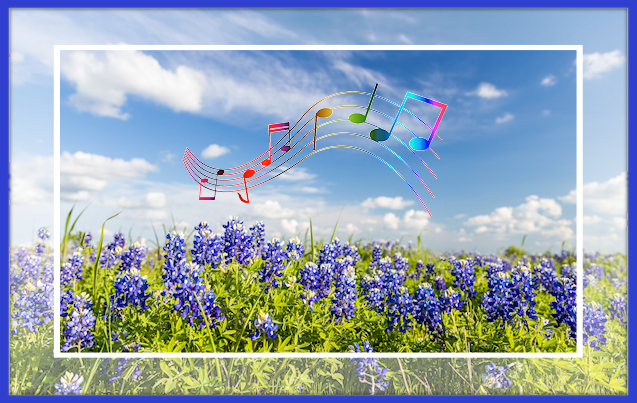 Singing Blue Bonnets